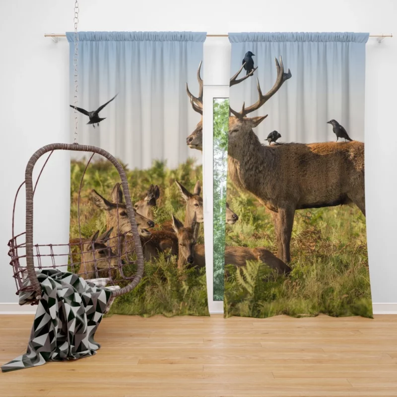 Deer Watchful Gaze Avian Majesty Curtain