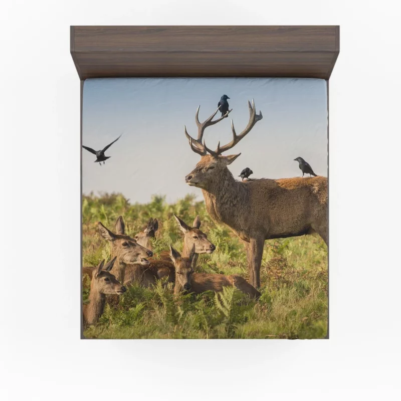 Deer Watchful Gaze Avian Majesty Fitted Sheet 1