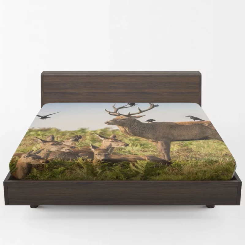 Deer Watchful Gaze Avian Majesty Fitted Sheet