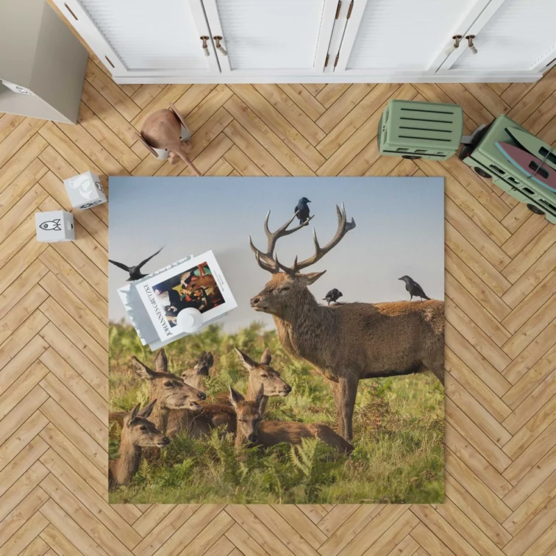 Deer Watchful Gaze Avian Majesty Rug