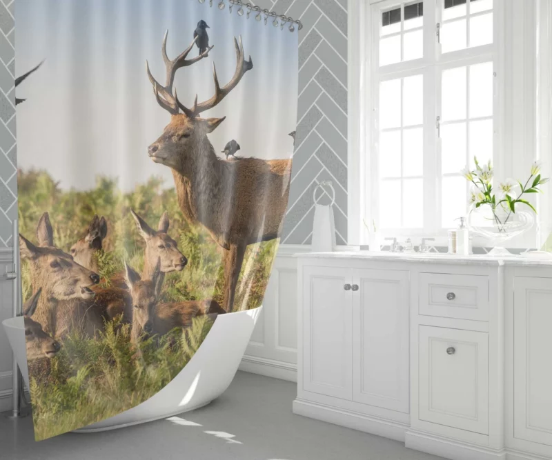 Deer Watchful Gaze Avian Majesty Shower Curtain 1