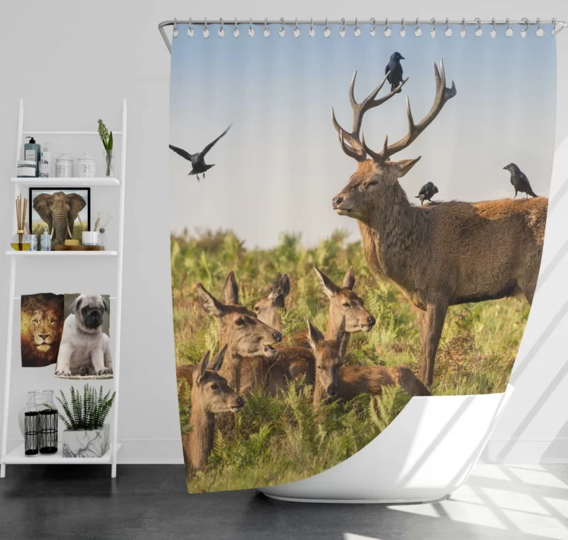 Deer Watchful Gaze Avian Majesty Shower Curtain