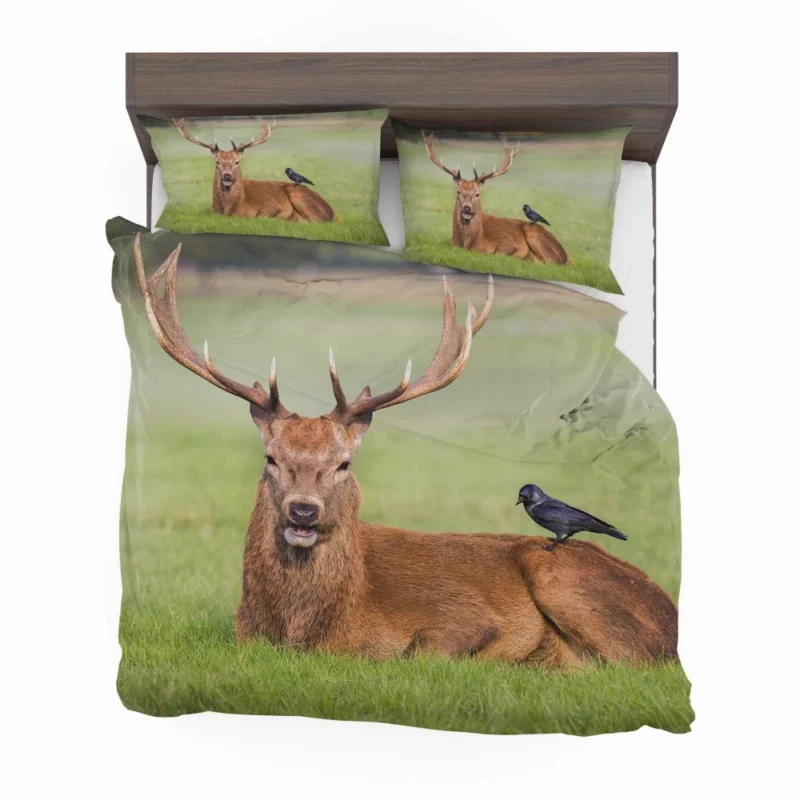 Deer and Bird Graceful Companionship Bedding Set 1