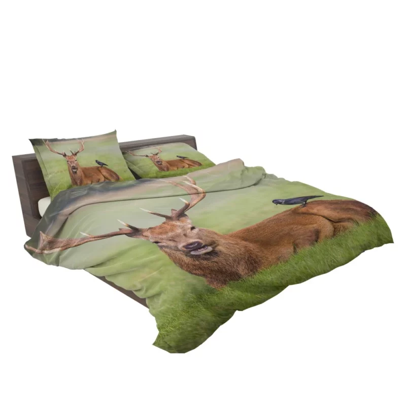 Deer and Bird Graceful Companionship Bedding Set 2