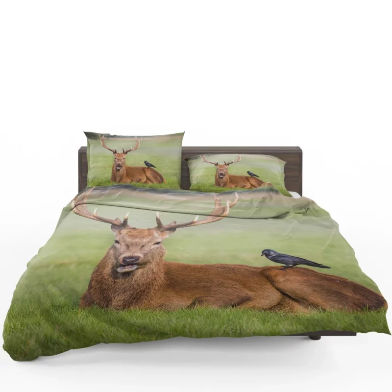 Deer and Bird Graceful Companionship Bedding Set