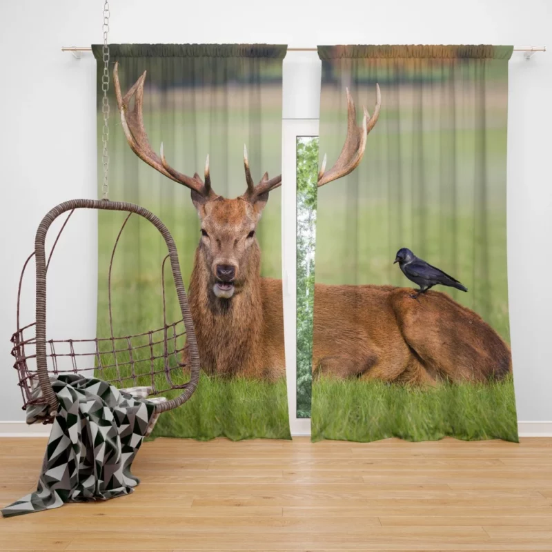 Deer and Bird Graceful Companionship Curtain