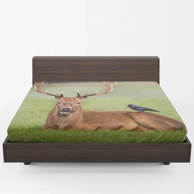 Deer and Bird Graceful Companionship Fitted Sheet