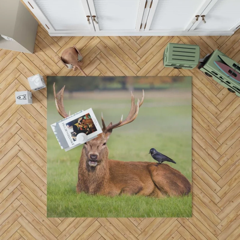 Deer and Bird Graceful Companionship Rug