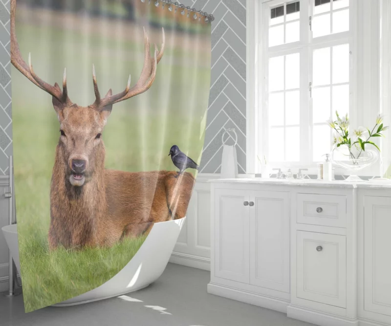 Deer and Bird Graceful Companionship Shower Curtain 1