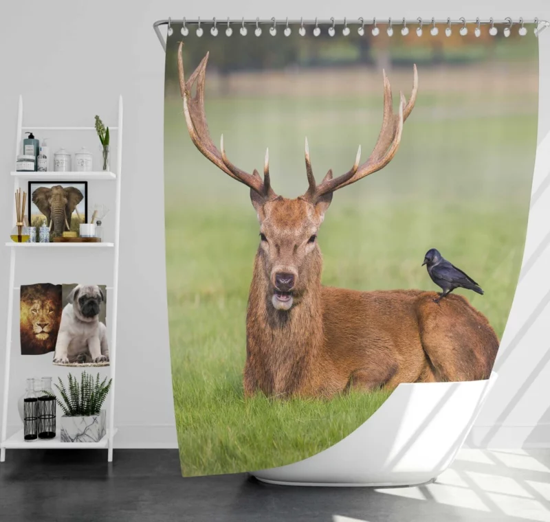 Deer and Bird Graceful Companionship Shower Curtain