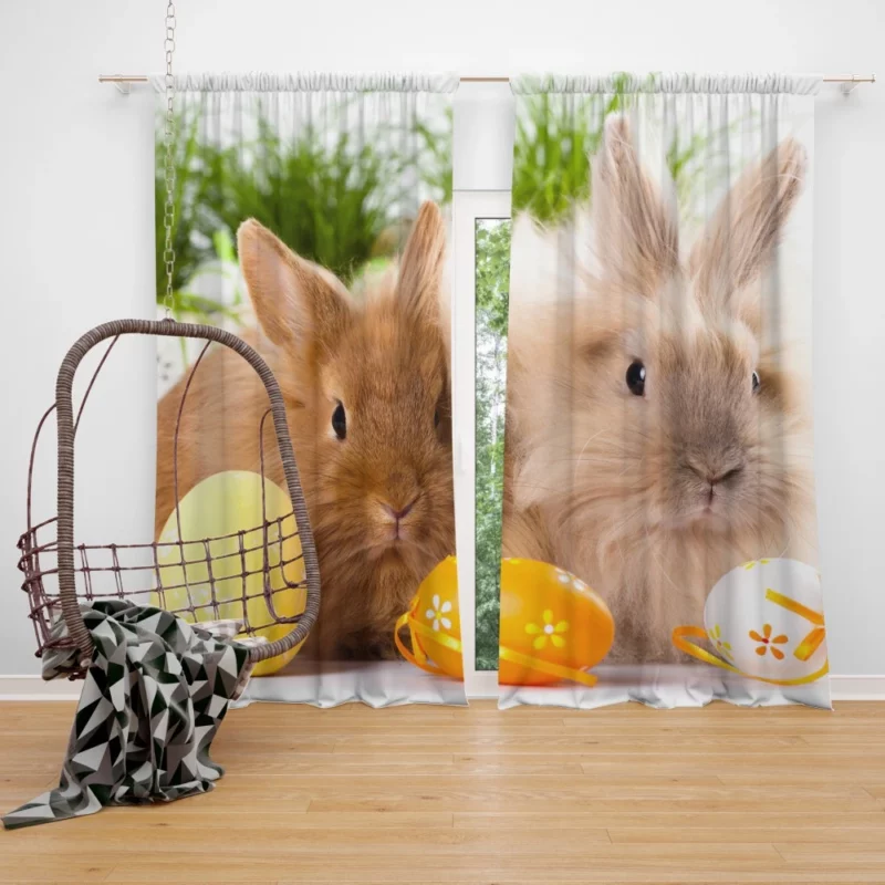 Delightful Play Rabbit Energetic Bounce Curtain