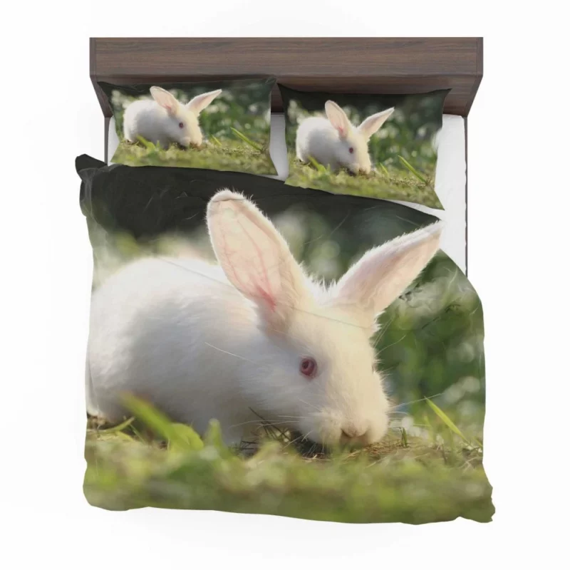 Delightful Play Rabbit Energy Unleashed Bedding Set 1