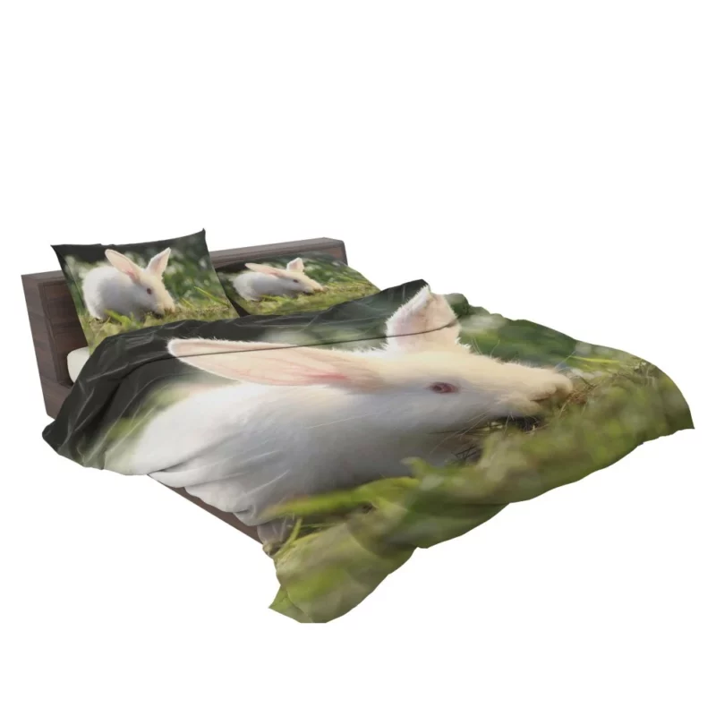 Delightful Play Rabbit Energy Unleashed Bedding Set 2