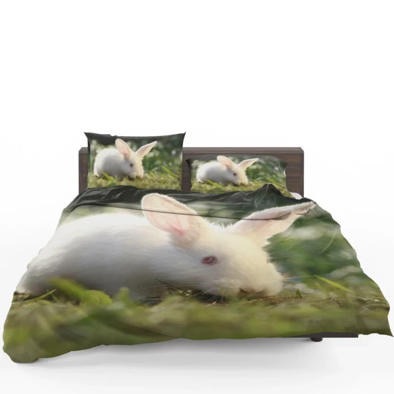 Delightful Play Rabbit Energy Unleashed Bedding Set