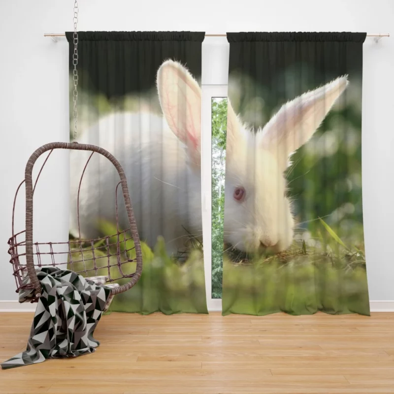 Delightful Play Rabbit Energy Unleashed Curtain