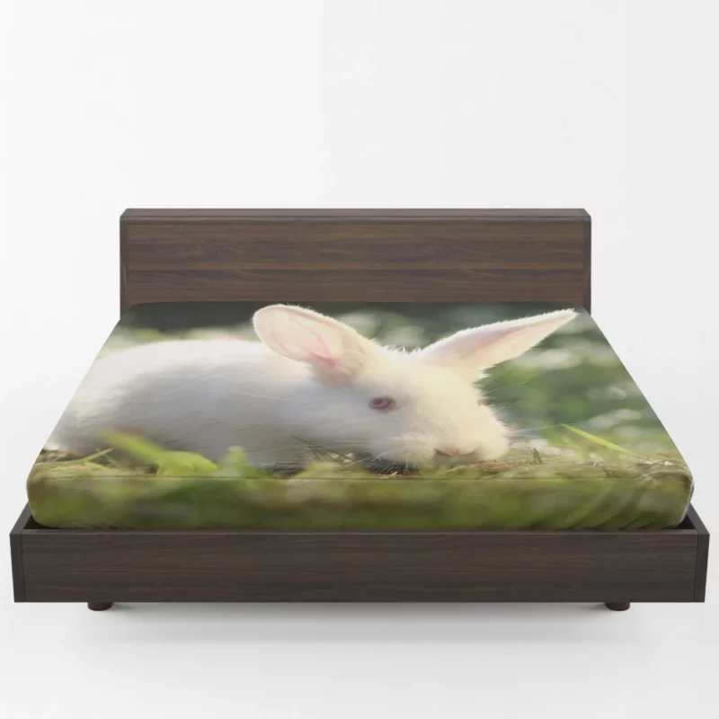 Delightful Play Rabbit Energy Unleashed Fitted Sheet