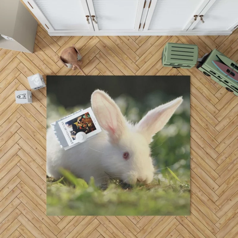 Delightful Play Rabbit Energy Unleashed Rug