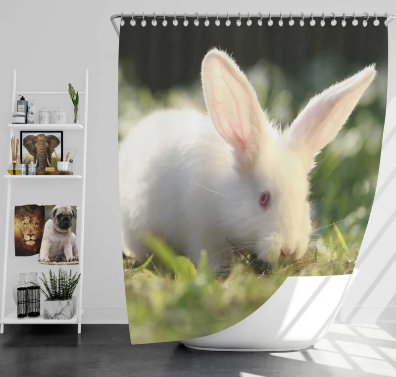 Delightful Play Rabbit Energy Unleashed Shower Curtain