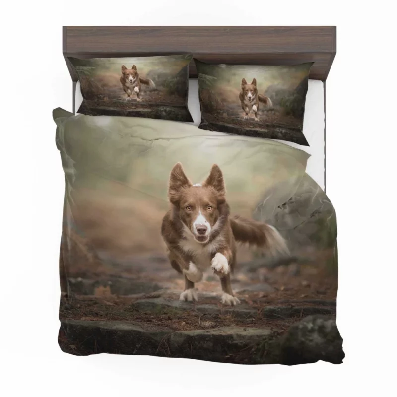 Depth Field Elegance Border Collie Bedding Set 1