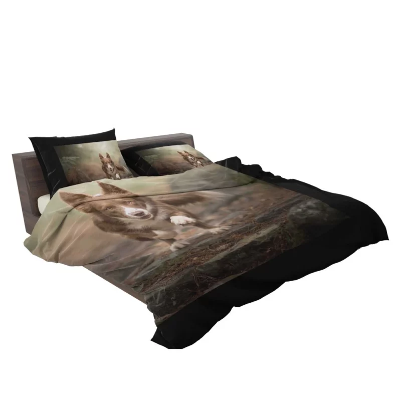 Depth Field Elegance Border Collie Bedding Set 2