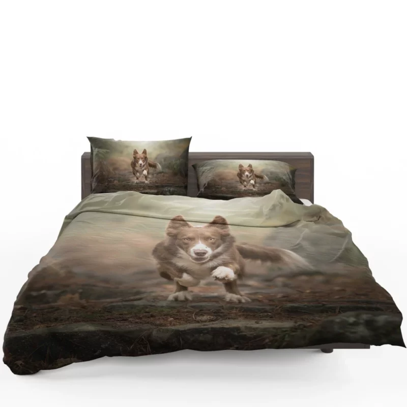 Depth Field Elegance Border Collie Bedding Set