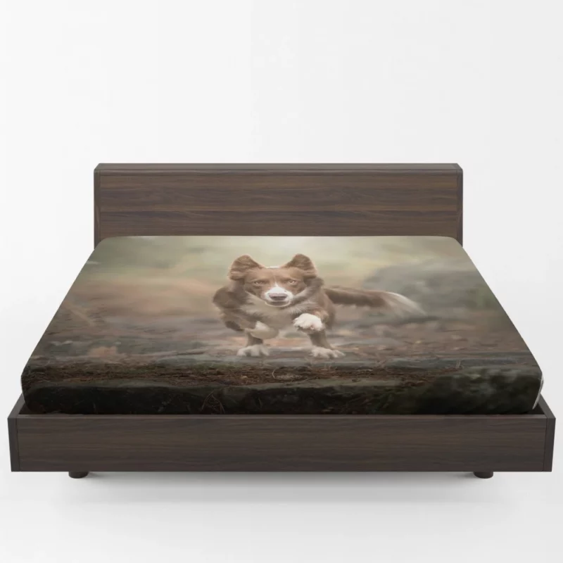 Depth Field Elegance Border Collie Fitted Sheet