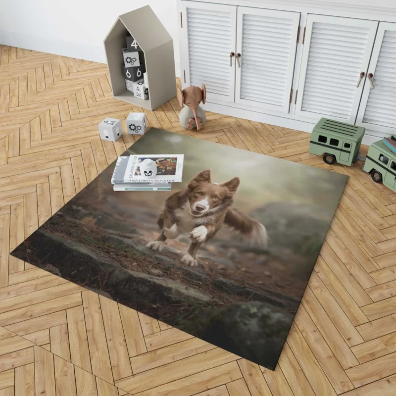 Depth Field Elegance Border Collie Rug 1