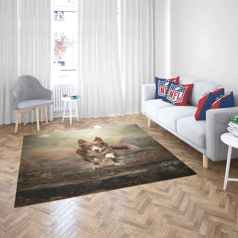 Depth Field Elegance Border Collie Rug 2