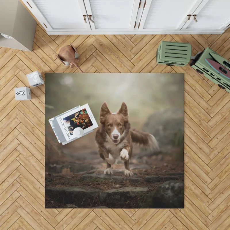 Depth Field Elegance Border Collie Rug