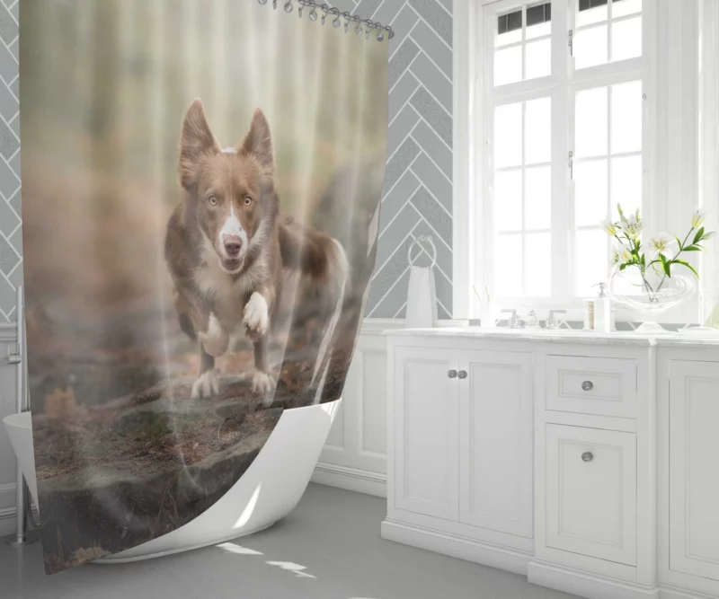 Depth Field Elegance Border Collie Shower Curtain 1