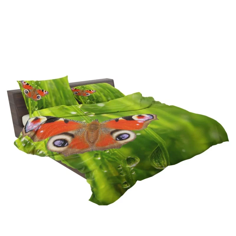 Dew-Kissed Orange Butterfly Nature Beauty Bedding Set 2