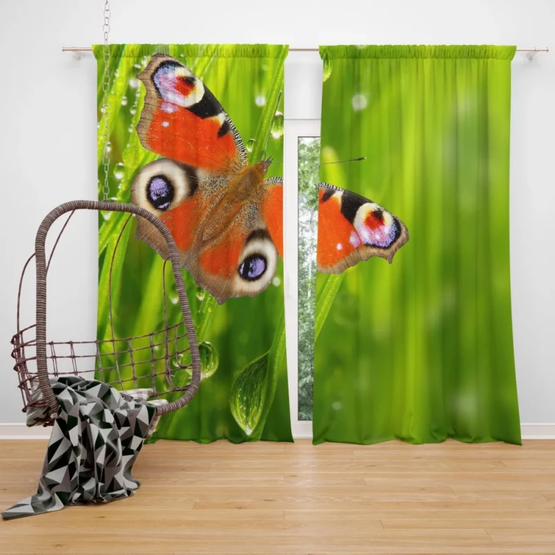 Dew-Kissed Orange Butterfly Nature Beauty Curtain