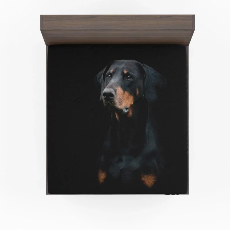 Doberman Pinscher Distinguished Muzzle Fitted Sheet 1