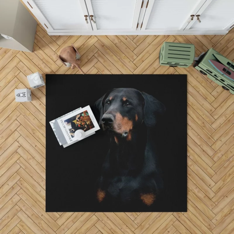 Doberman Pinscher Distinguished Muzzle Rug