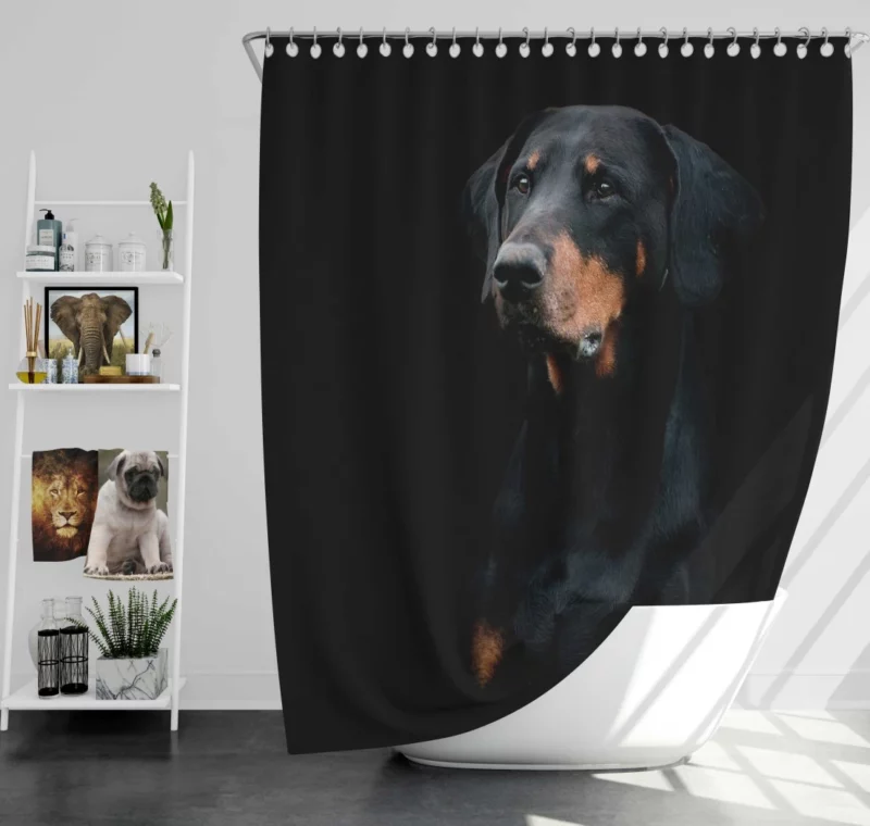 Doberman Pinscher Distinguished Muzzle Shower Curtain