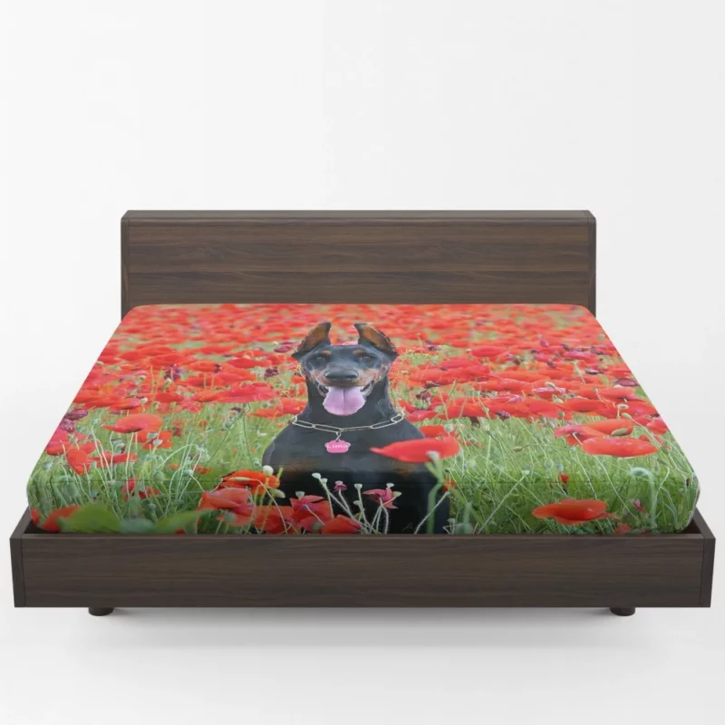 Doberman Pinscher Poppy Serenity Fitted Sheet