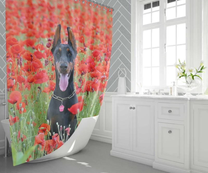 Doberman Pinscher Poppy Serenity Shower Curtain 1