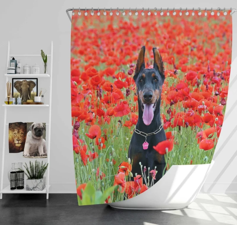 Doberman Pinscher Poppy Serenity Shower Curtain