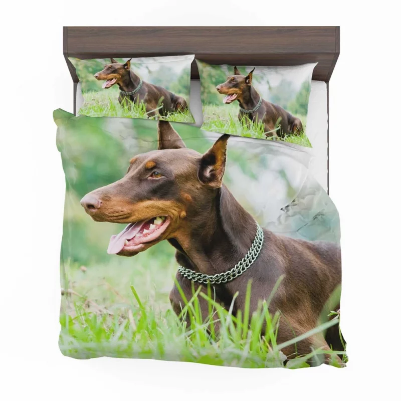 Doberman Pinscher Regal Elegance Bedding Set 1