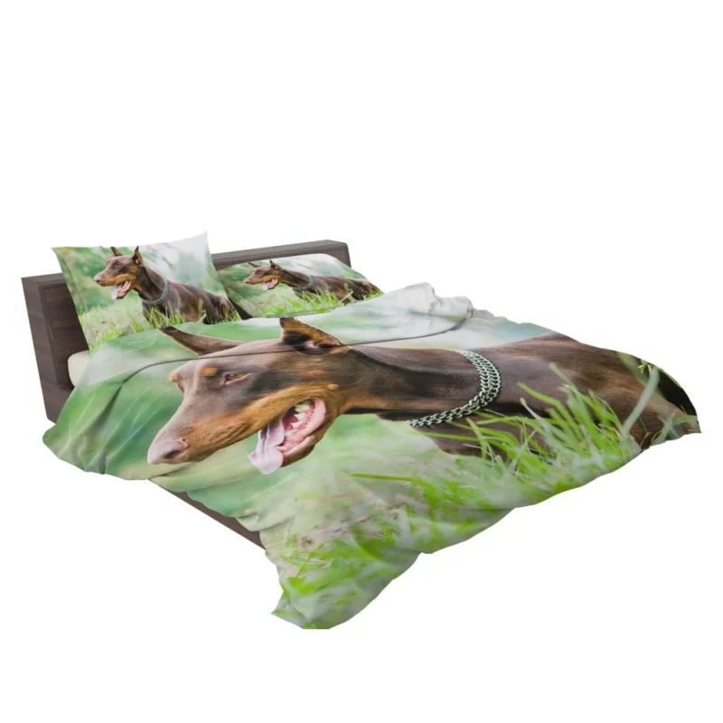 Doberman Pinscher Regal Elegance Bedding Set 2