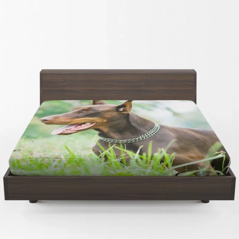 Doberman Pinscher Regal Elegance Fitted Sheet