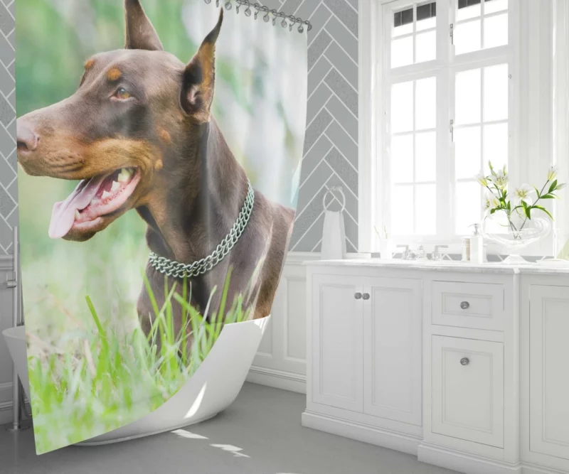 Doberman Pinscher Regal Elegance Shower Curtain 1