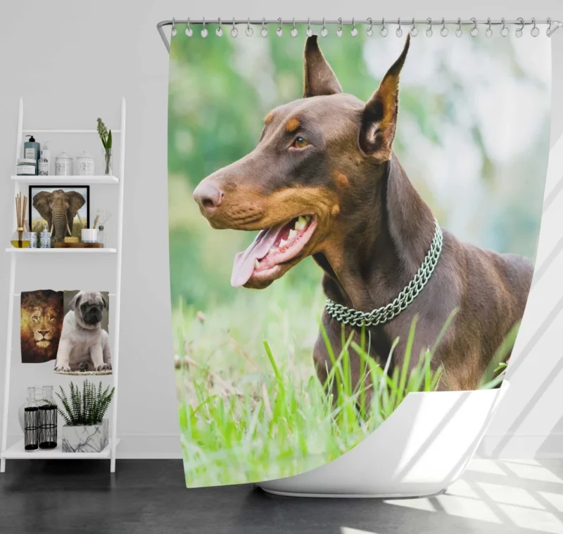 Doberman Pinscher Regal Elegance Shower Curtain