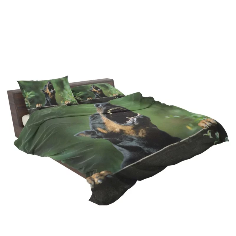 Doberman Pinscher Regal Stance Bedding Set 2