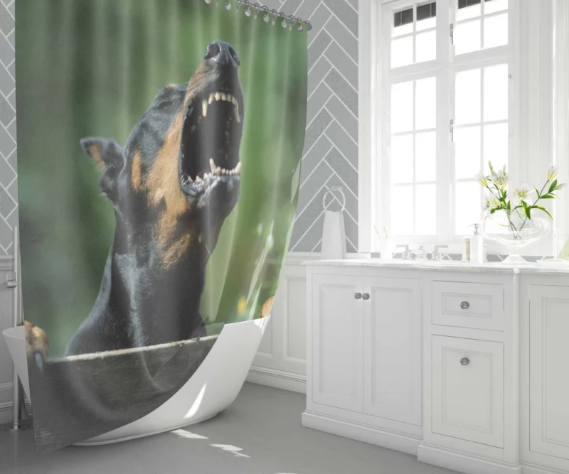 Doberman Pinscher Regal Stance Shower Curtain 1