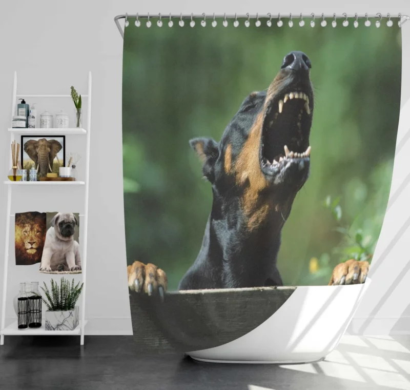 Doberman Pinscher Regal Stance Shower Curtain