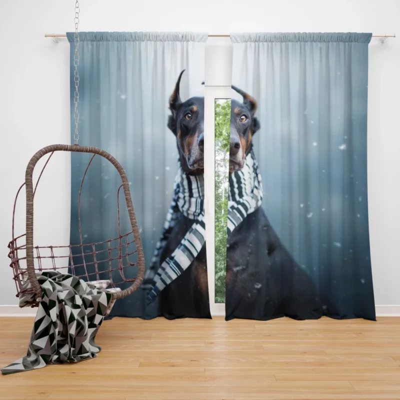 Doberman Pinscher Winter Chic Scarf Style Curtain