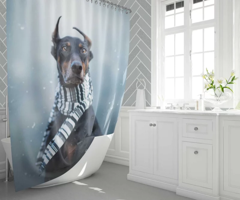 Doberman Pinscher Winter Chic Scarf Style Shower Curtain 1