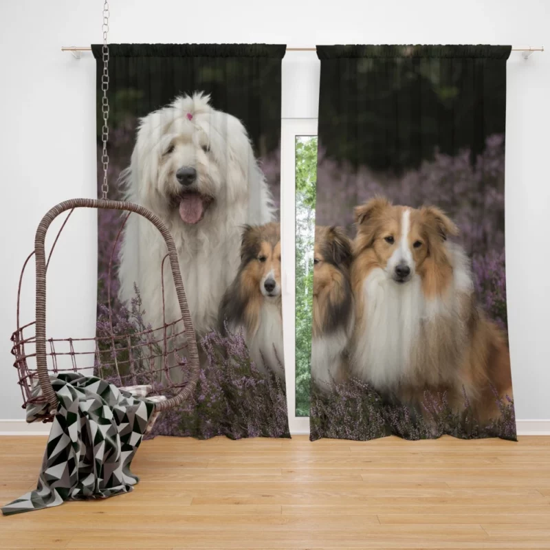 Dog Among Lavender Tranquil Canine Curtain