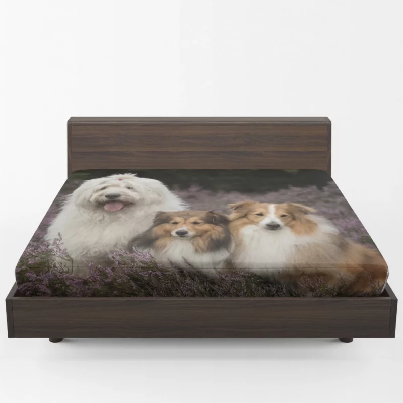 Dog Among Lavender Tranquil Canine Fitted Sheet